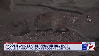 RI Senate approves bill to ban rat poison in rodent control
