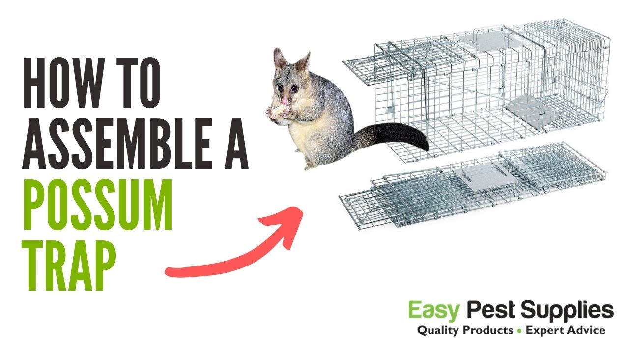 Possum Trap with Trip plate