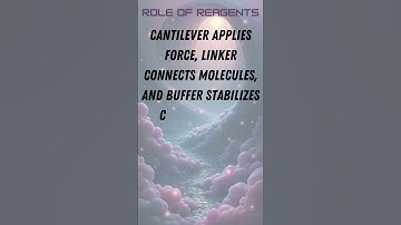 Single Molecule Force Spectroscopy