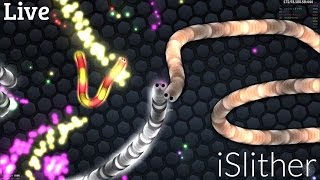 iSlither | Slither.io Live Stream 🐍