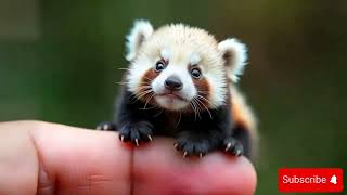 "Adorable Miniature Animals: Tiny Creatures with Big Personalities!"
