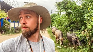 Foreigners not welcome in this village in rural Thailand… [Timekettle T1 Mini Translator]