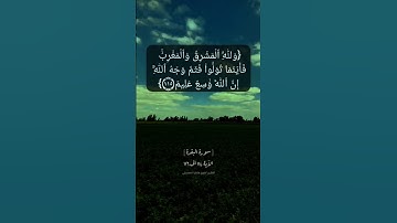 سورة البقرة الآية ١١٤ الى ١١٦ بصوت الشيخ ماهر المعيقلي