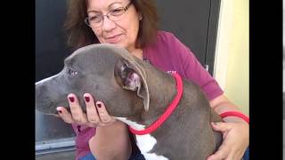 Pup Quiz with Kaley Cuoco-Sweeting