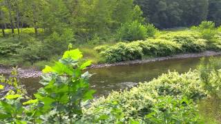 Pine Creek Trail, Pennsylvania - Rails To Trails