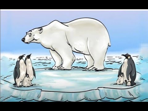 ليه الدب القطبي والبطريق مبيتقابلوش