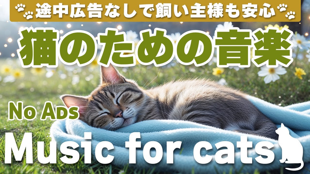 猫が落ち着く音楽/広告なしで安心/リラックス/cat relaxing music/No Ads/Relaxing music for cats_vol.96