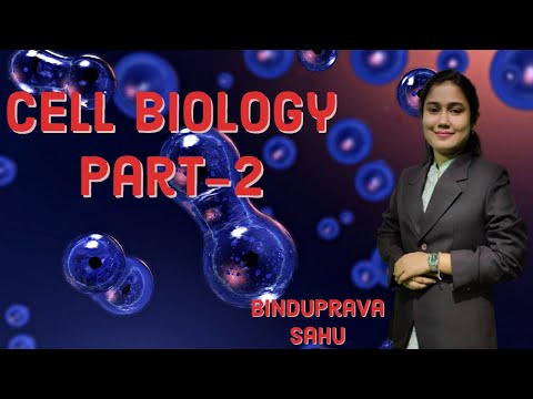 CELL- Difference Between EUKARYOTIC And PROKARYOTIC Cell