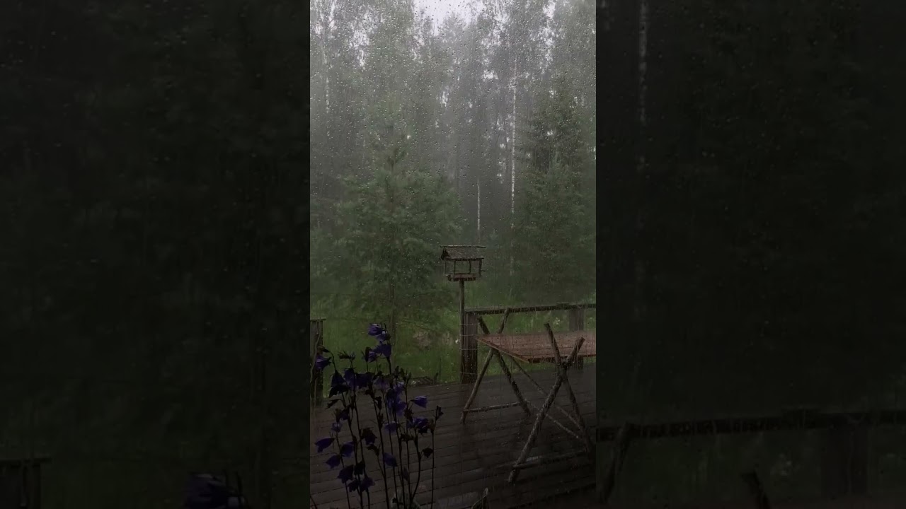 The most peaceful 180 seconds you’ll hear today...