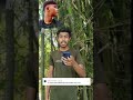 দম থাকলে ইউটিউব চ্যানেলটা সাবস্ক্রাইব করে দেখা 🥱 #vairalvideo