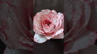 Hellallallo song #suma #flowers #art #drawing #rose #crafts #Suma art &amp; craft