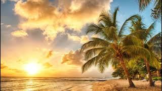 Reggae Song Music 10 Hour