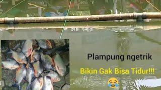 Mancing Harian Bawal di Timbul, Jakarta Selatan #salamsatuhobi