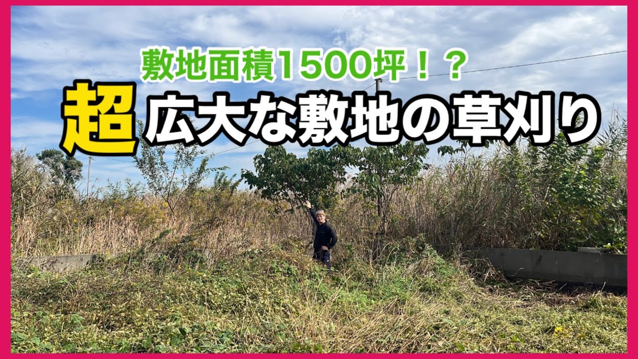 【仕事】約1500坪の超広大な敷地の草刈り！
