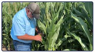 Hoegemeyer Hometown Field Update - Freeman SD
