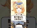 靴下揃えた、これ花丸?【花丸ほまれ/からくり】#shorts #新人vtuber #vtuber #vtuber準備中