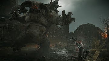 Vanguard - SL1, NG+5, No Sprint, Morion, Concealment, Roll, Block, Parry