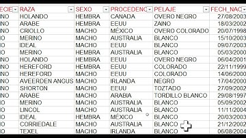 EJERCICIO PRACTICO 8