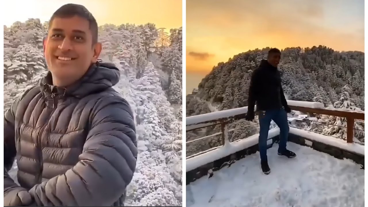 ms dhoni enjoying with his family in mountains | celebrities focus
