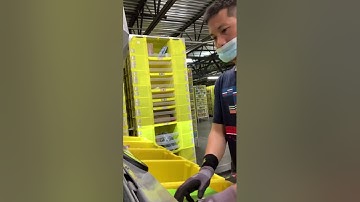 what is like to work at amazon warehouse (picking)