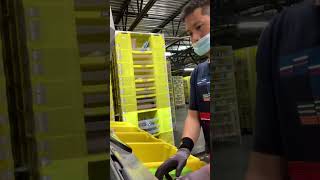 what is like to work at amazon warehouse (picking)