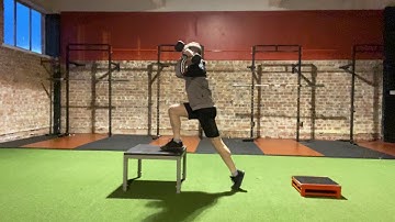 Dumbbell Power Clean To Box