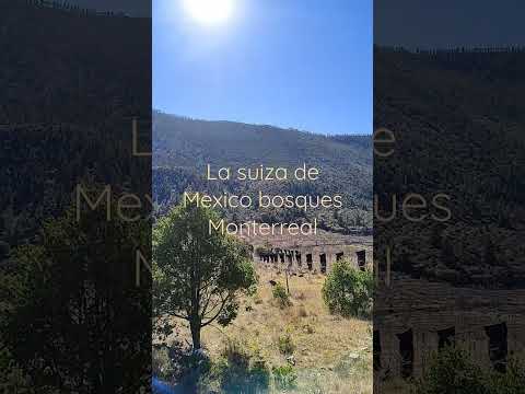 Bosques de Monterreal/Arteaga