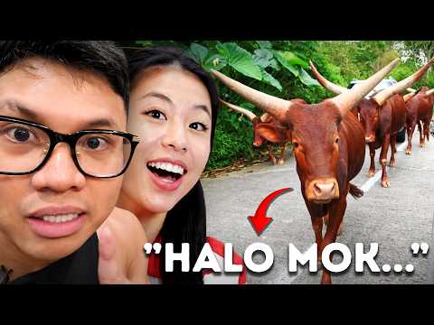 Our First Time at Taman Safari...