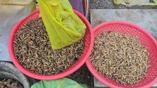 Edible Insects: Crickets Grasshoppers Mole Crickets