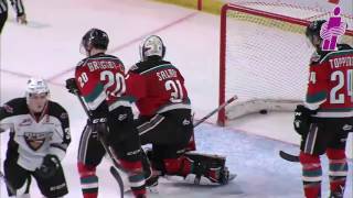 IBAM WHL Insurance Goals - January 26, 2017