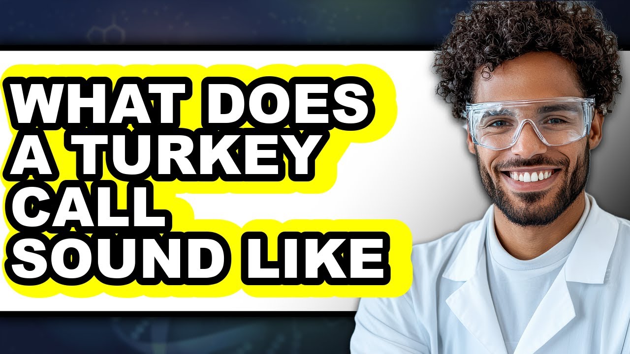 What Does a Turkey Call Sound Like - Explained