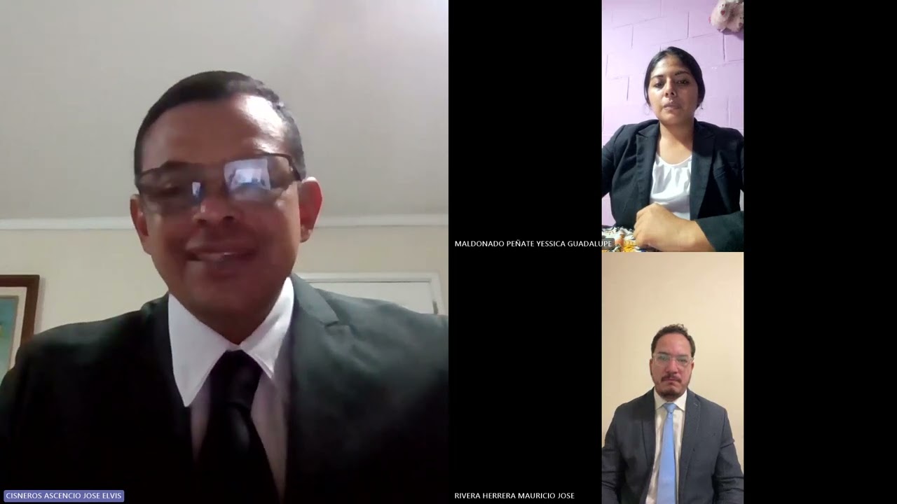 Ejemplo de Audiencia Probatoria, en materia de Derecho Procesal Civil y Mercantil.