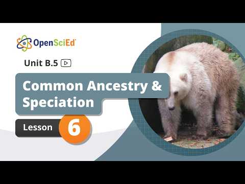 Unit B.5 Lesson 6 Planning Video | OpenSciEd On-Demand Resources