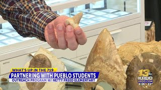 Local rock shop 'Geofossils' helps elementary students turn imagination into discovery