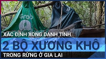 Xác định xong danh tính 2 bộ xương khô trong rừng ở Gia Lai | VTC Tin mới