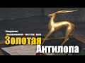 Золотая Антилопа. Спецпроект ТелевизионногоАгентства Урала (ТАУ) 2001 год.