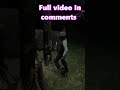 I Got Wanted In The Dumbest Way Possible In Red Dead 2 #rdr2 #shorts