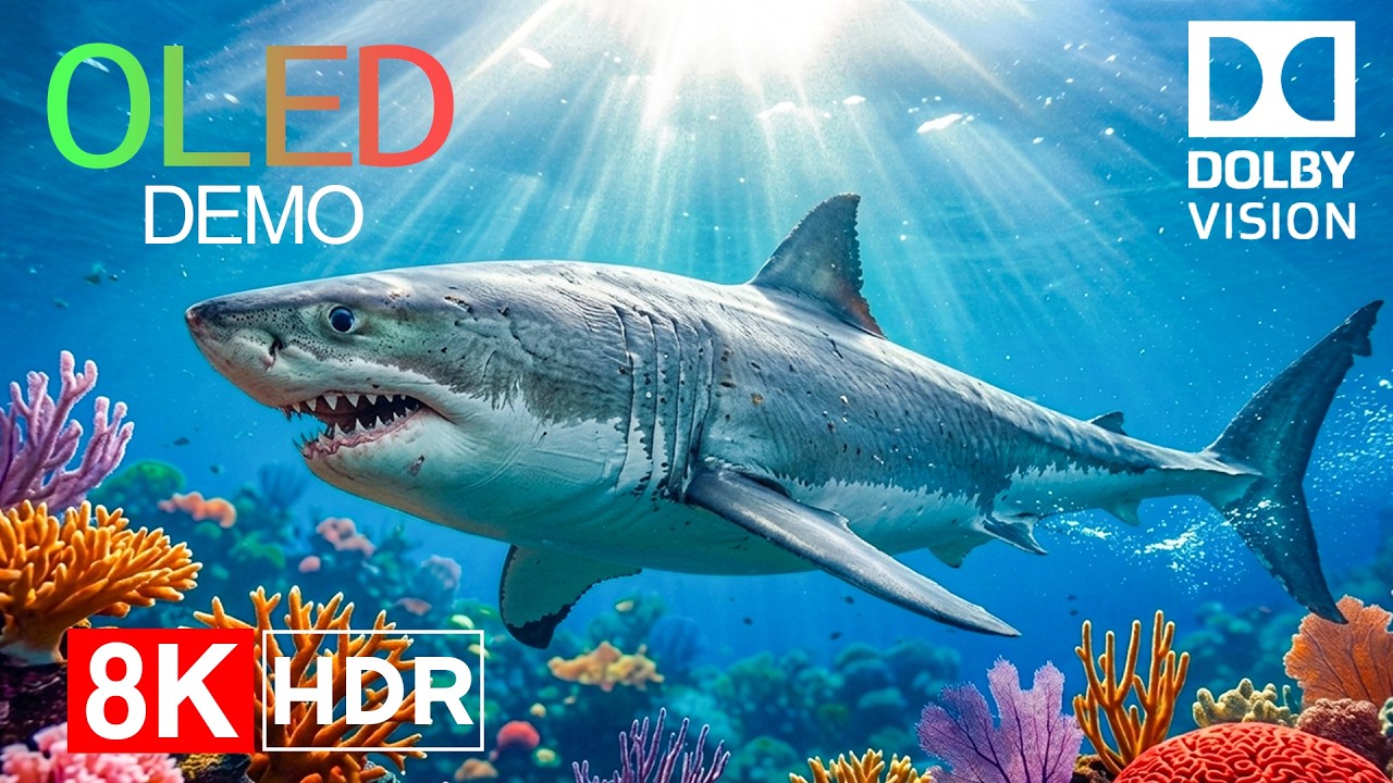 Giant Ocean Creatures — Peaceful Sea World | 8K OLED Demo