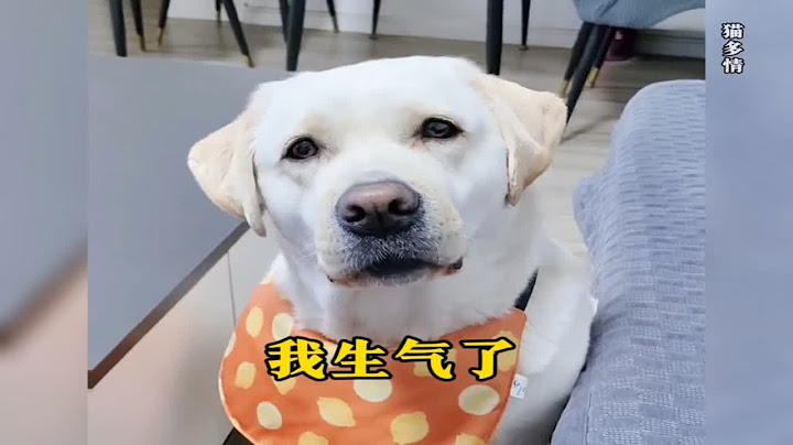 狗子：我也是有脾气的，生气的狗子不好惹，消防员也无可奈何