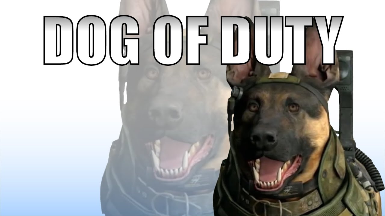 CALL OF DUTY: GHOSTS - Dog of Duty