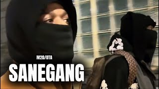 Sanegang: Chicago’s Most Dangerous Mafia Insane Vice Lords