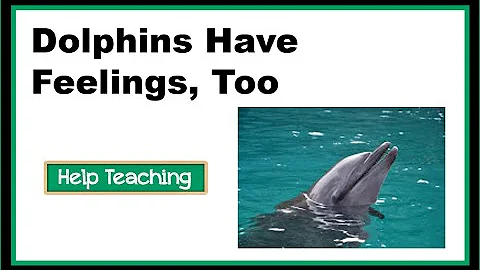 All About Dolphins | Read-Aloud Story for Kids