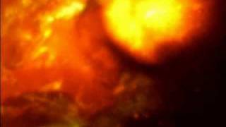 The Dove And The Dragon