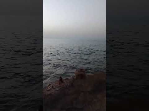 الناس بتغر