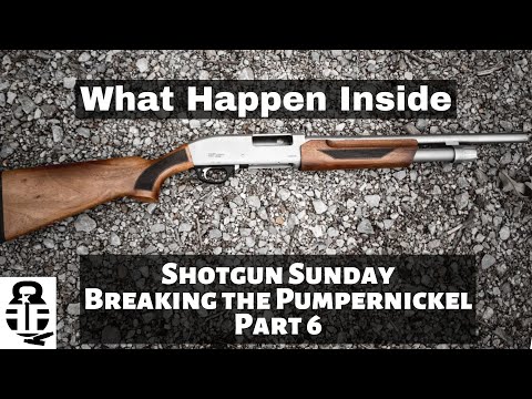 What's the End Result? Part 6 G Force GFP3N Pumpernickel