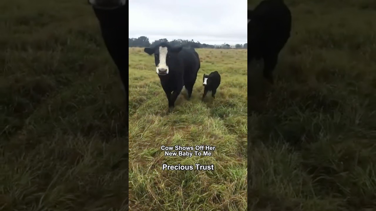 They trust humans 🤩 