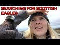 In Search of Scottish Golden Eagles (ft Amy Hall)