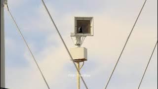 Federal Signal Thunderbolt 1003A Attack Test - Saint Paul, Nebraska