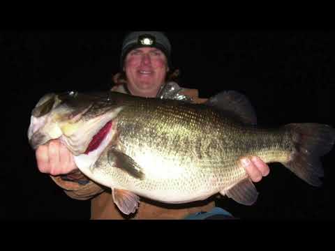 Night Fishing Tips That Matter! ( Beginner AND Advanced )