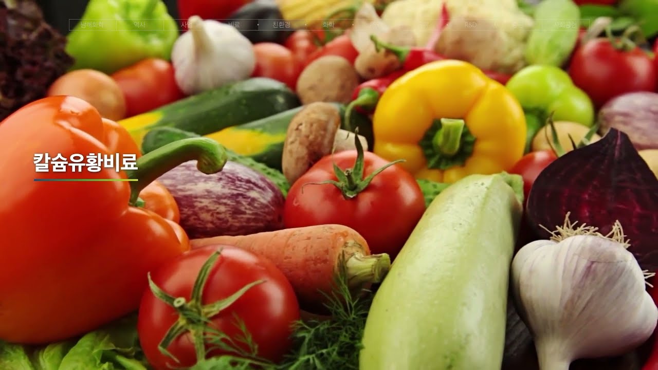 남해 화학 소개 및 주가 채용 연봉 정보 정리